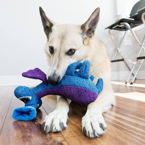 Игрушка для собак Kong Woozles Blue M 41616 фото