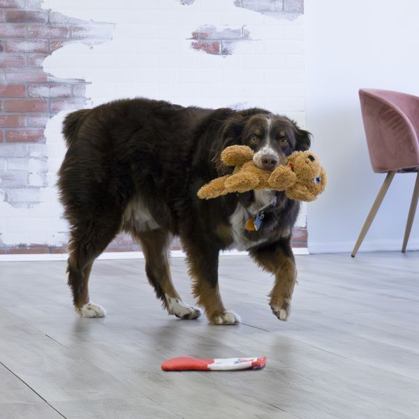 Игрушка для собак Kong Comfort Pups Goldie M 45418 фото
