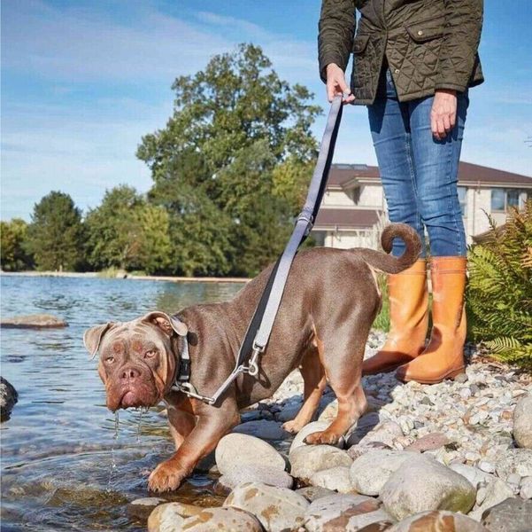Нашийник для собак пом'якшений Wolters Professional Comfort -1 20-24 см / 15 мм Сріблястий 29686 фото