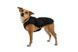 Теплая куртка для собак Ruffwear Quinzee&trade; L Черный 41747 фото 3