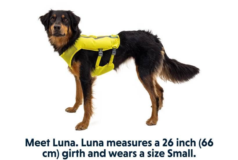 Жилет-шлея для бега Ruffwear Trail Runner&trade; L/XL Зеленый 30995 фото