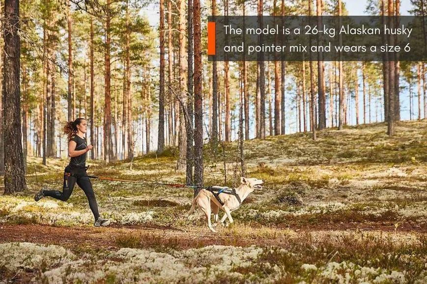 Шлейка для собак Freemotion harness Non-stop dogwear Чорний 10 40654 фото
