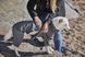 Утепленный комбинезон для собак Hurtta Midlayer Overall 30S Серый 31443 фото 7