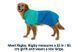Дощовик для собак Ruffwear Sun Shower&trade; XL Блакитно-бірюзовий 30496 фото 2
