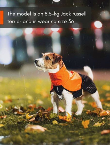 Дождевик для собак Fjord raincoat Non-stop dogwear Черный/Оранжевый 80 40947 фото