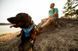 Повсякденна шлейка для собак Ruffwear Front Range XXS 33-43 см Синьо-блакитний 30781 фото 12
