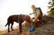 Повсякденна шлейка для собак Ruffwear Front Range XXS 33-43 см Синьо-блакитний 30781 фото 14