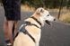 Повідець перестібка для собак Ruffwear Switchbak&trade; Сірий 30947 фото 11