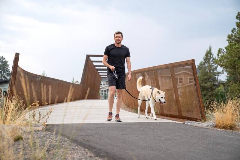 Повідець перестібка для собак Ruffwear Switchbak&trade; Сірий 30947 фото