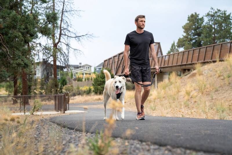 Повідець перестібка для собак Ruffwear Switchbak&trade; Сірий 30947 фото