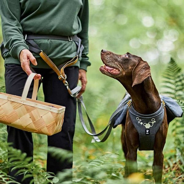 Пояс для привязи собак Hurtta Expedition Belt ECO Серый 70-110 42143 фото