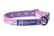 Ошейник для собак Non-stop dogwear Trail quest collar RP signature edition Фиолетовый/Розовый S 40471 фото 1