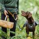 Пояс для привязи собак Hurtta Expedition Belt ECO Серый 70-110 42143 фото 8