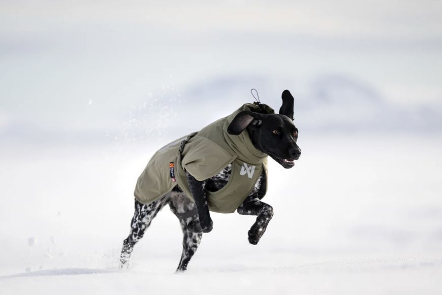 Зимова куртка для собак Glacier wool jacket 3.0 Non-stop dogwear Зелений 65 41104 фото