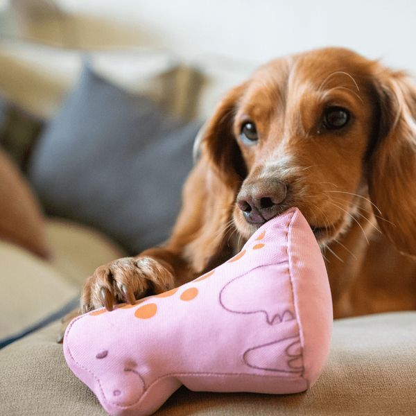 М'яка іграшка для собак Beco Pets Малюк Динозавр Рожевий S 42146 фото