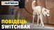 Повідець перестібка для собак Ruffwear Switchbak&trade; Зелений 30949 фото 9