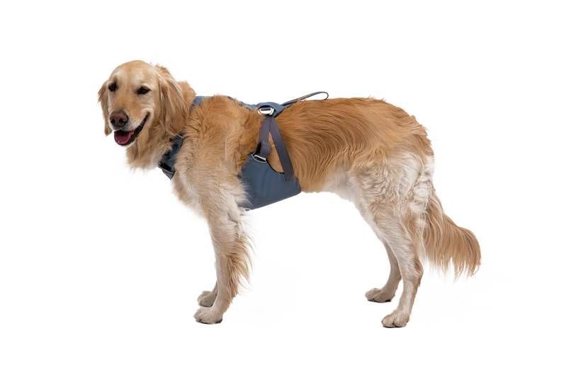 Автошлейка для собак Ruffwear Load Up&trade; M 69-81 см Синий 30845 фото