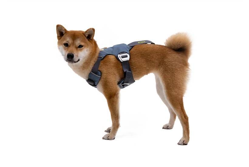 Автошлейка для собак Ruffwear Load Up&trade; M 69-81 см Синий 30845 фото