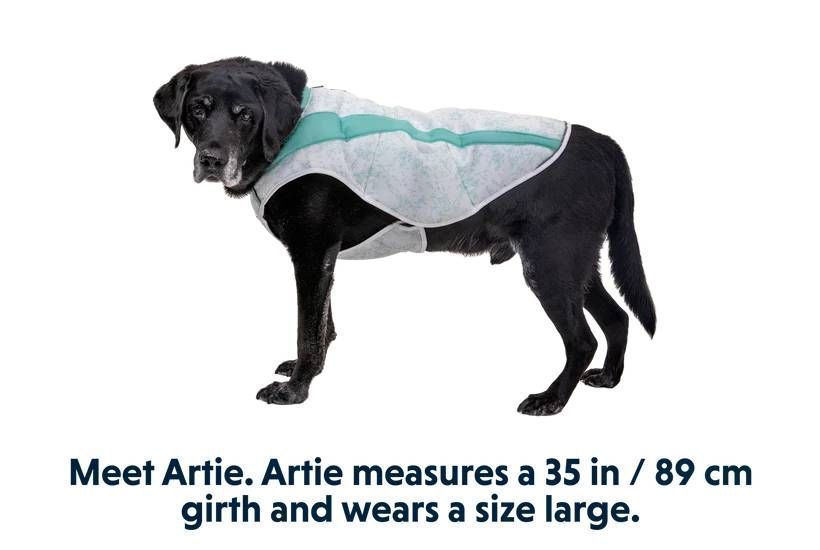 Охолоджуюча попона для собак Ruffwear Swamp Cooler&trade; L Зелений 30549 фото