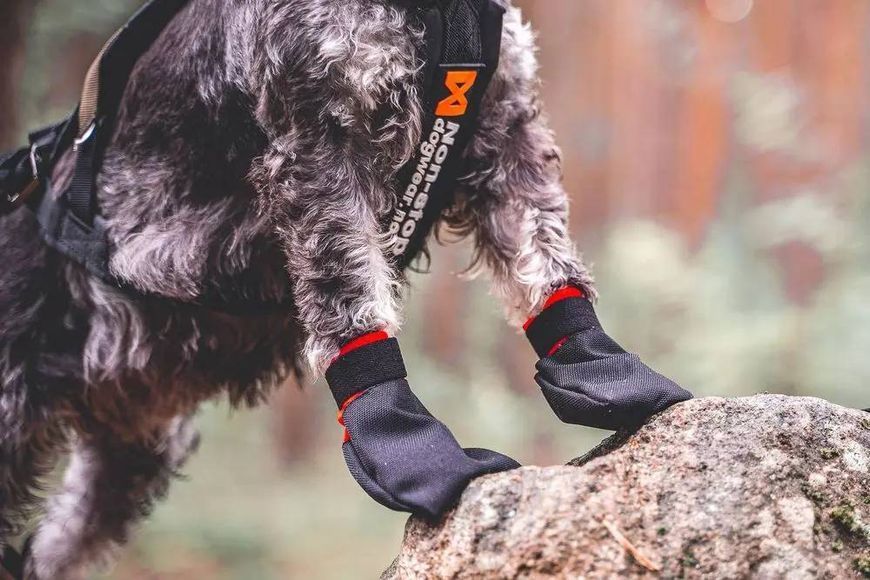 Носки для собак Solid sock Non-stop dogwear Черный S 4 Шт. 40322 фото