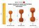 Игрушка гантель для чистки зубов собак Wolters Pure Nature Dental Dumbbell L натуральный каучук 28107 фото 3