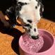 Миска зі 100% переробленого пластику для собак Beco Pets Steady Bowls Рожевий L 45568 фото 3