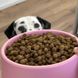 Миска зі 100% переробленого пластику для собак Beco Pets Steady Bowls Рожевий L 45568 фото 5