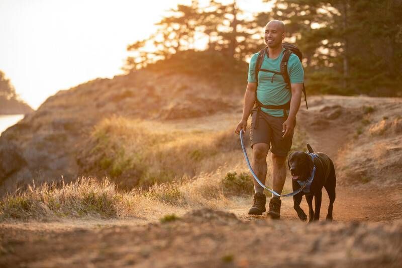 Повседневная шлейка для собак Ruffwear Front Range&reg; M 69-81 см Сине-голубой 30784 фото