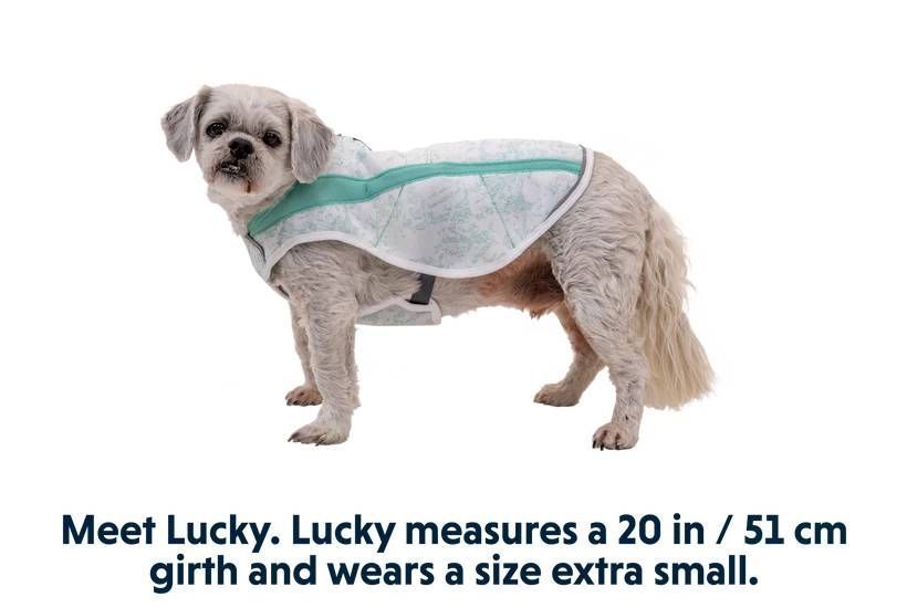 Охолоджуюча попона для собак Ruffwear Swamp Cooler&trade; XL Зелений 30550 фото