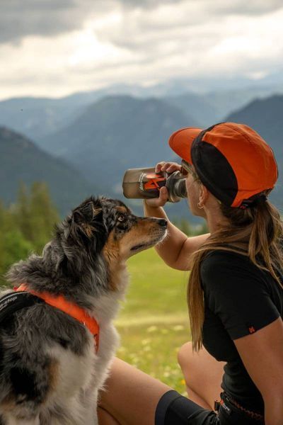 Бутылочка для собак NSD Soft flask Non-stop dogwear Серый 500 мл 40546 фото
