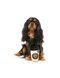 Мягкая игрушка для собак FuzzYard Barkrista Puppuccino 31083 фото 4