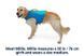 Спасательный жилет для собак Ruffwear Float Coat&trade; XXS Синий 30951 фото 7