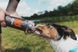 Бутылочка для собак NSD Soft flask Non-stop dogwear Серый 500 мл 40546 фото 2