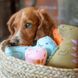 М'яка іграшка для собак Beco Pets Ігуанодон Зелений M 42148 фото 2
