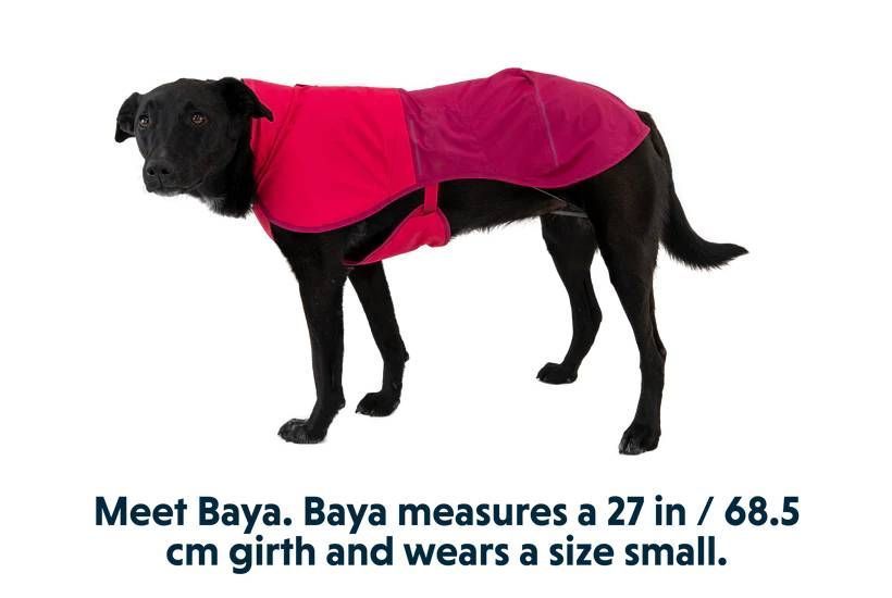 Дощовик для собак Ruffwear Sun Shower&trade; L Малиново-рожевий 30501 фото