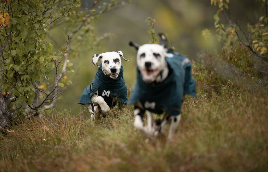 Дощовик для собак Non-stop dogwear Fjord lined Зелений 30 41323 фото