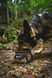 Повсякденна шлейка для собак Ruffwear Front Range&reg; XXS 33-43 см Сіро-коричневий 30786 фото 9