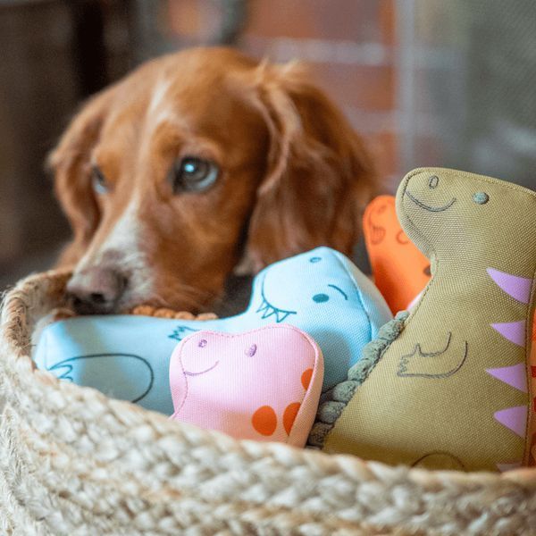 Мягкая игрушка для собак Beco Pets Т-Рекс Голубой M 42149 фото