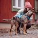 Шлейка для собак Hurtta Safeguard Harness ECO Синий 55-70 42097 фото 7