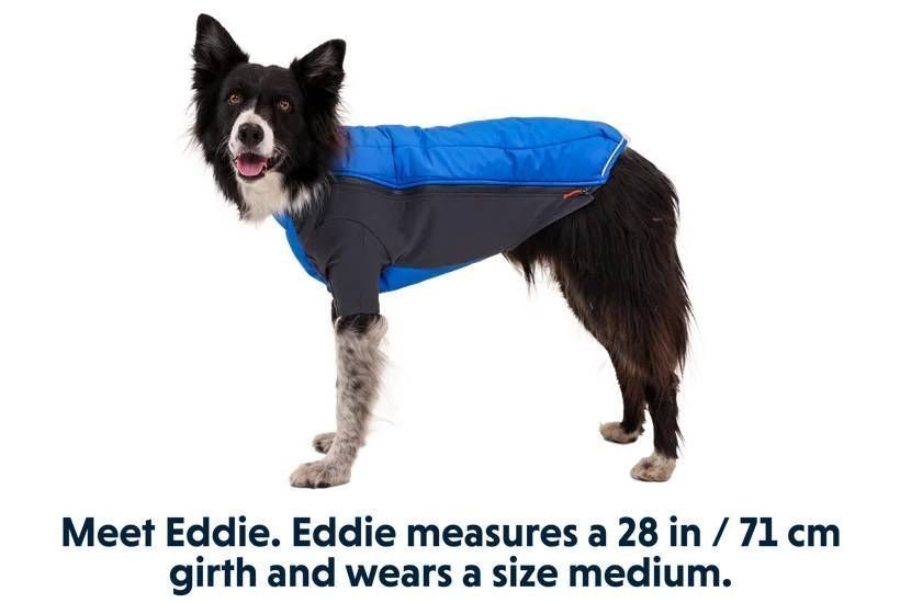 Зимова куртка для собак Ruffwear Powder Hound&trade; M Синій 30452 фото