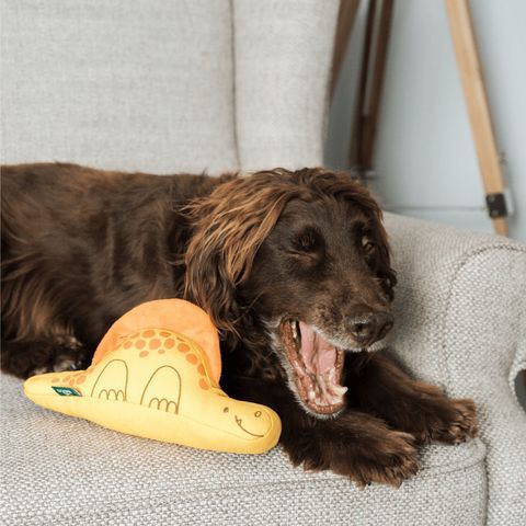 Мягкая игрушка для собак Beco Pets Диметродон Желтый M 42150 фото