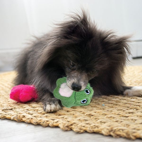 Іграшка для собак Kong Snuzzles Mini Frog XS 45426 фото