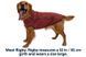 Свитер для собак Ruffwear Hemp Hound&trade; S Красный 30403 фото 4