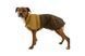 Дождевик для собак Ruffwear Sun Shower&trade; XXS Коричневый 41755 фото 1