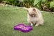Миска слоуфідер для маленьких собак LickiMat Small Slodog Purple 30348 фото 3