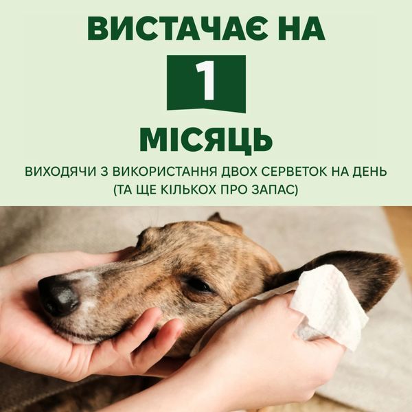 Бамбуковые салфетки для очищения ушек собак Beco Pets Dog Ear Wipes 70 шт. 45572 фото
