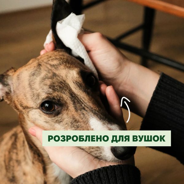 Бамбуковые салфетки для очищения ушек собак Beco Pets Dog Ear Wipes 70 шт. 45572 фото