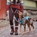 Шлейка для собак Hurtta Safeguard Harness ECO Синий 75-95 42099 фото 8