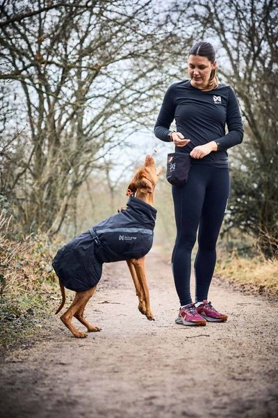 Сумка для ласощів та аксесуарів собак Treat bag Non-stop dogwear Чорний 40555 фото