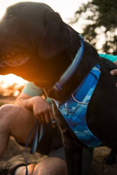 Повседневный поводок для собак Ruffwear Front Range&trade; Голубо-синий 30906 фото